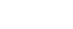 Evolution logotipo