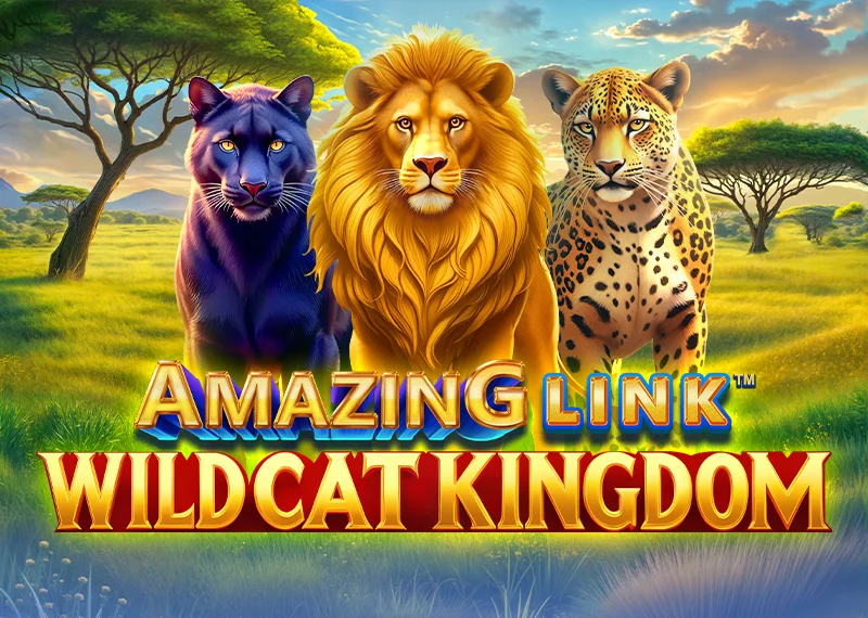 Amazing Link WildCat Kingdom