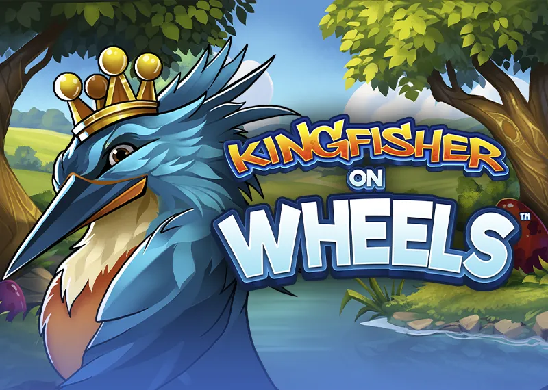 Kingfisher on Wheels