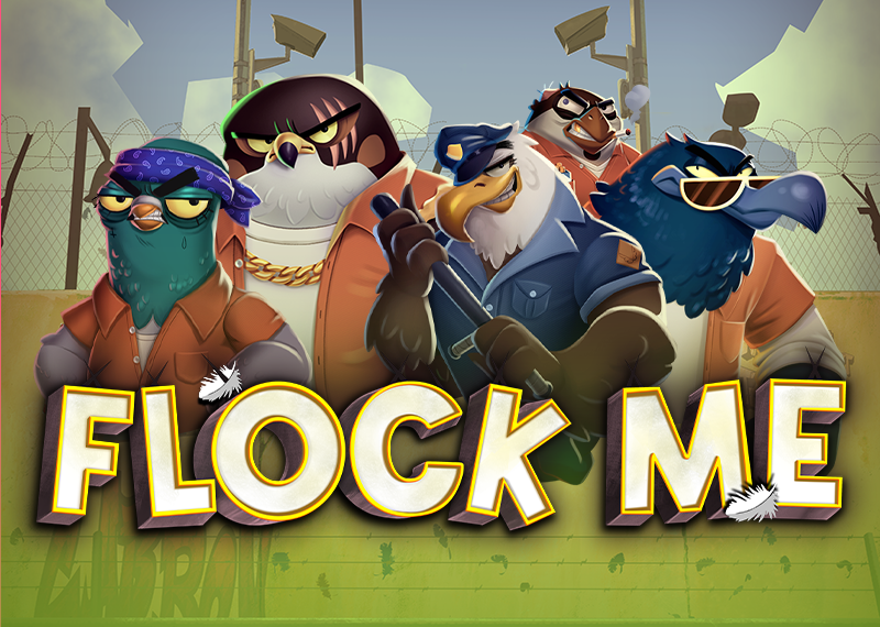 Flock Me