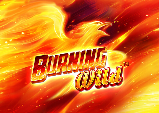 Burning Wild