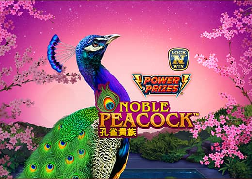 Power Prizes Noble Peacock