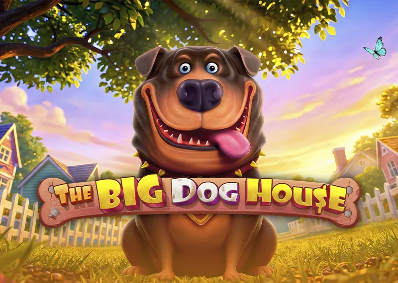 The Big Dog House