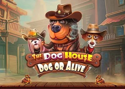 The Dog House – Dog or Alive