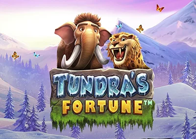 Tundra's Fortune
