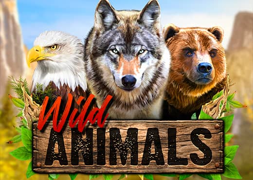 Wild Animals