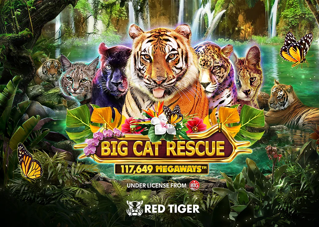 Big Cat Rescue Megaways