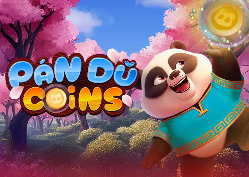 Pan Du Coins 